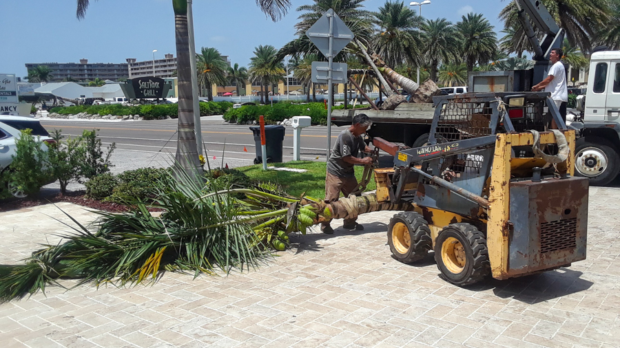 Landscape Installation
