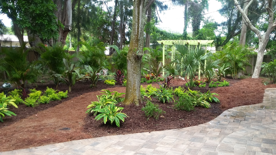 Landscape Drainage